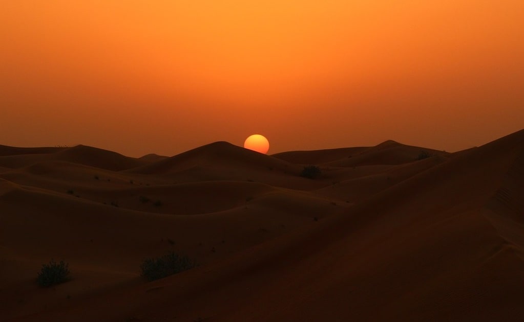Comment capturer la lumière parfaite au coucher du soleil ?